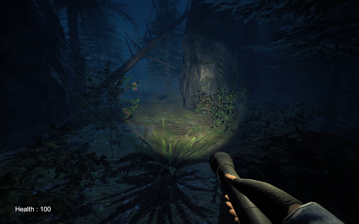 Play Silent Fogs: Echoes of Evil