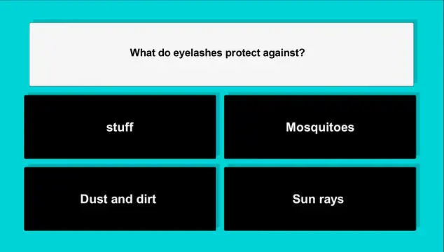 YonatanBHwork खेलें