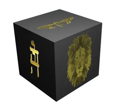 Holy Order - इमेज