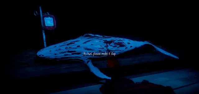 Schrodinger's cat sim - Screenshots