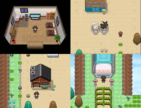 Pokemon RT B/W 2011 - इमेज