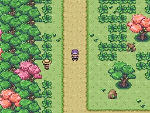 Pokemon Aventure 2026 - Screenshots