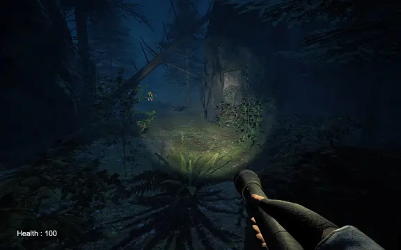 Play Silent Fogs: Echoes of Evil