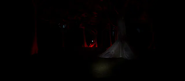 The Silence: The Forest - Screenshots