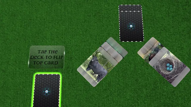 Wishful Daisy - इमेज