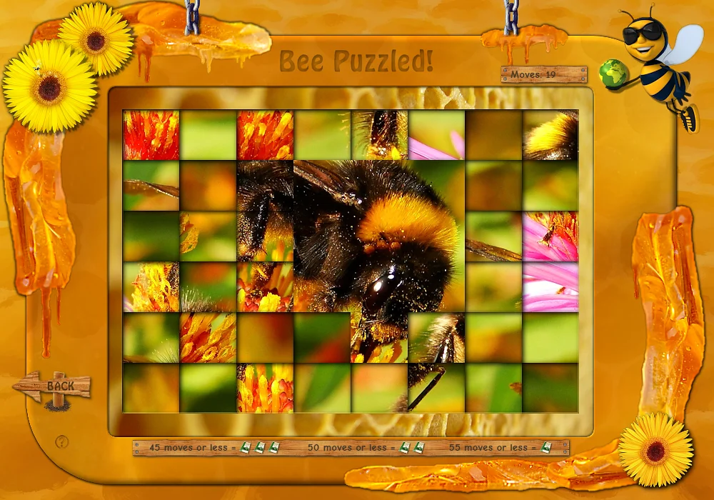 Play Bee Aware! 2.0 (demo)