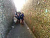 Play Wikipedia: The Adventure