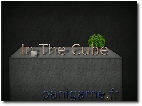 In The Cube  III खेलें