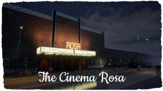 The Cinema Rosa 