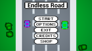 Play Online Endless Road