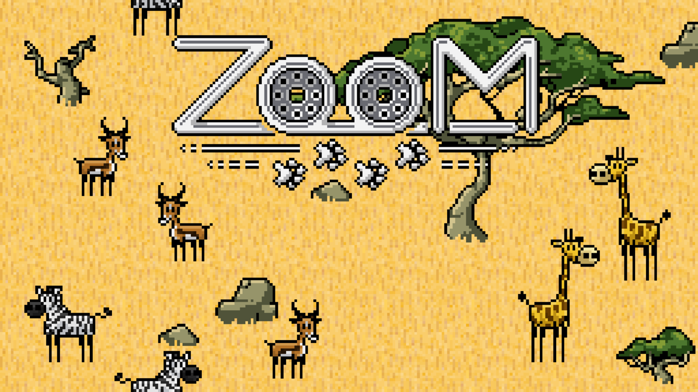 Play ZooM