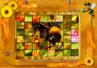Play Online Bee Aware! 2.0 (demo)