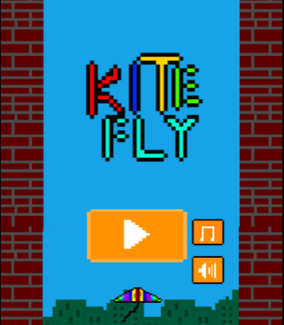 kite fly