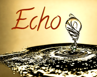 Play Echo Online